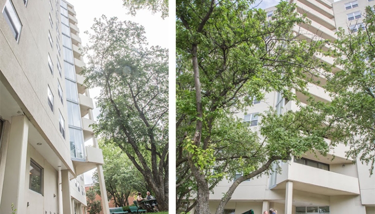 Colony Plaza Apartments facade