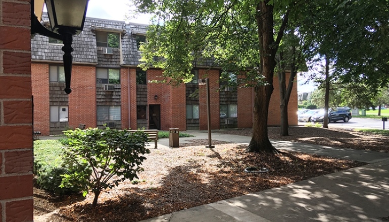 Landscaping next to building