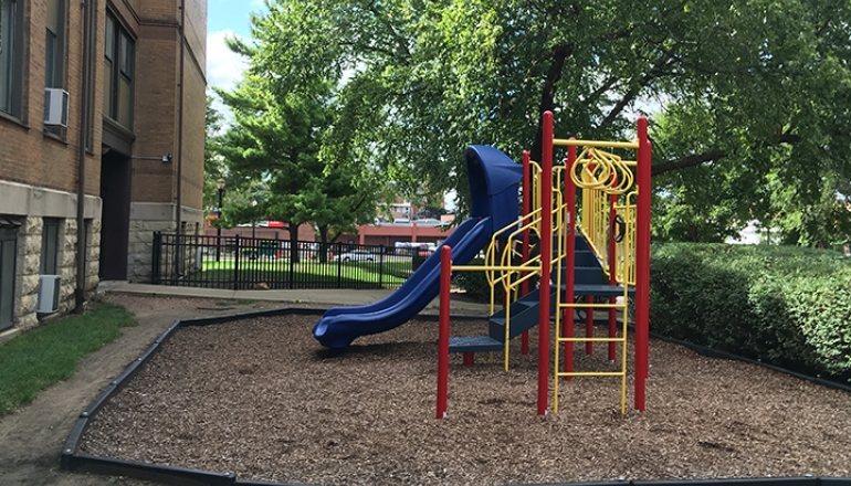Jungle Gym 