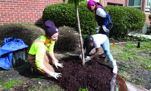 Recently Renovated Affordable Housing Community Gets Landscape Upgraded