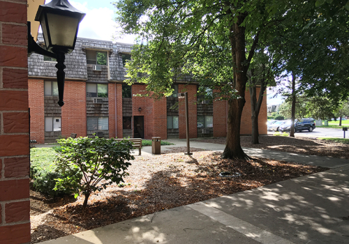 Landscaping next to building